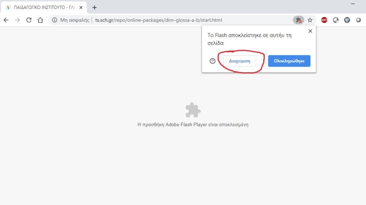 ChromeFlashPlayer2